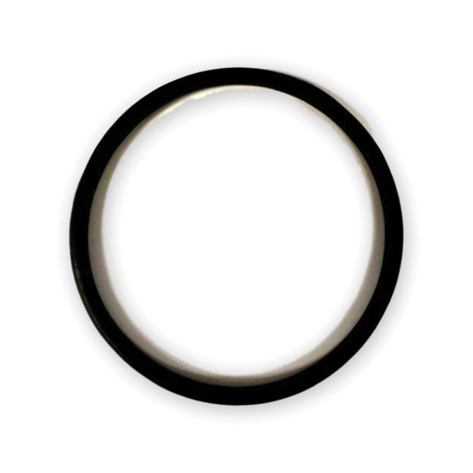 WaterPur 10-CLW CANISTER O-RING ONLY Replacement O-Ring