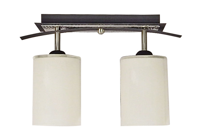 CEILING LIGHT LED TWO GLOBE