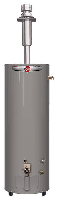 LaSalle Bristol 24IR40DV1 Rheem Warrior Dv 40 Gallon Water Heater