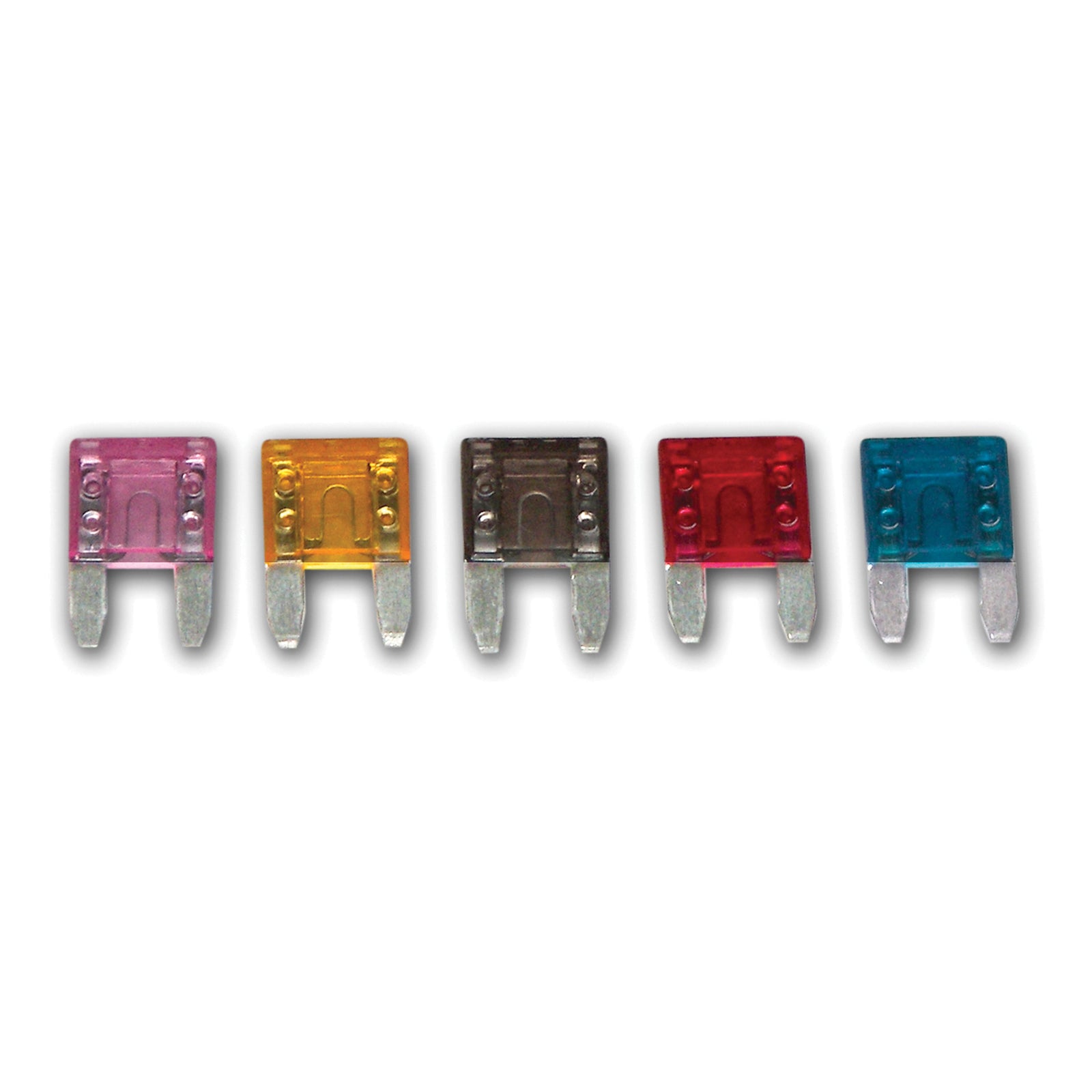 WirthCo 24105-50 5 Amp Fuse Mini 50 Pk