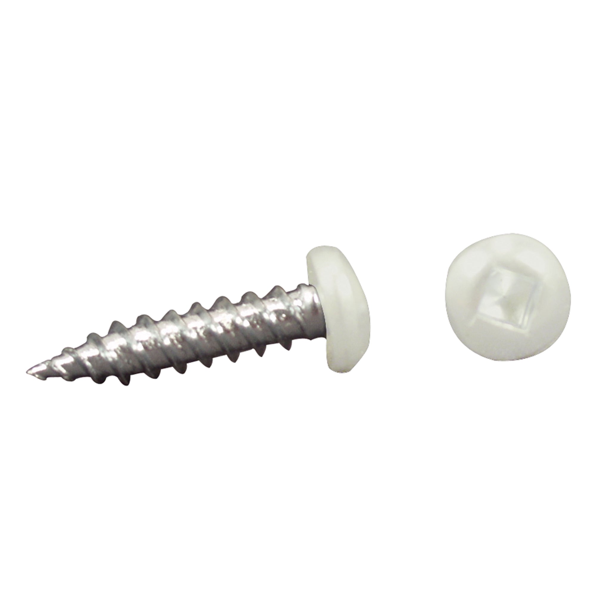 AP Products 012-PSQ500 W 8 X 1-1/2 Pan Head Square Recess Screw - #8 x 1.5", White, Pack of 500