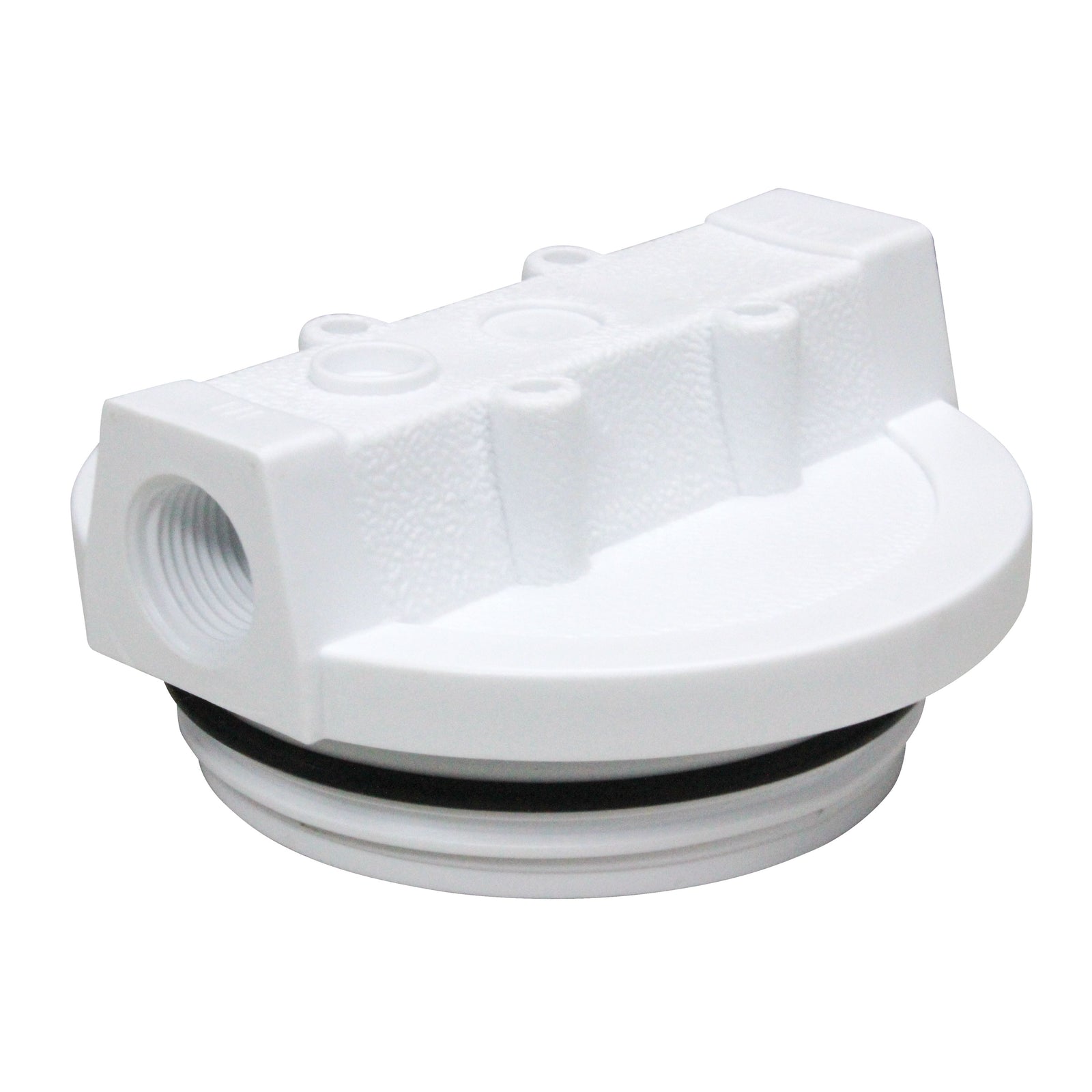 WaterPur 10-CLW CAP ONLY Replacement Cap